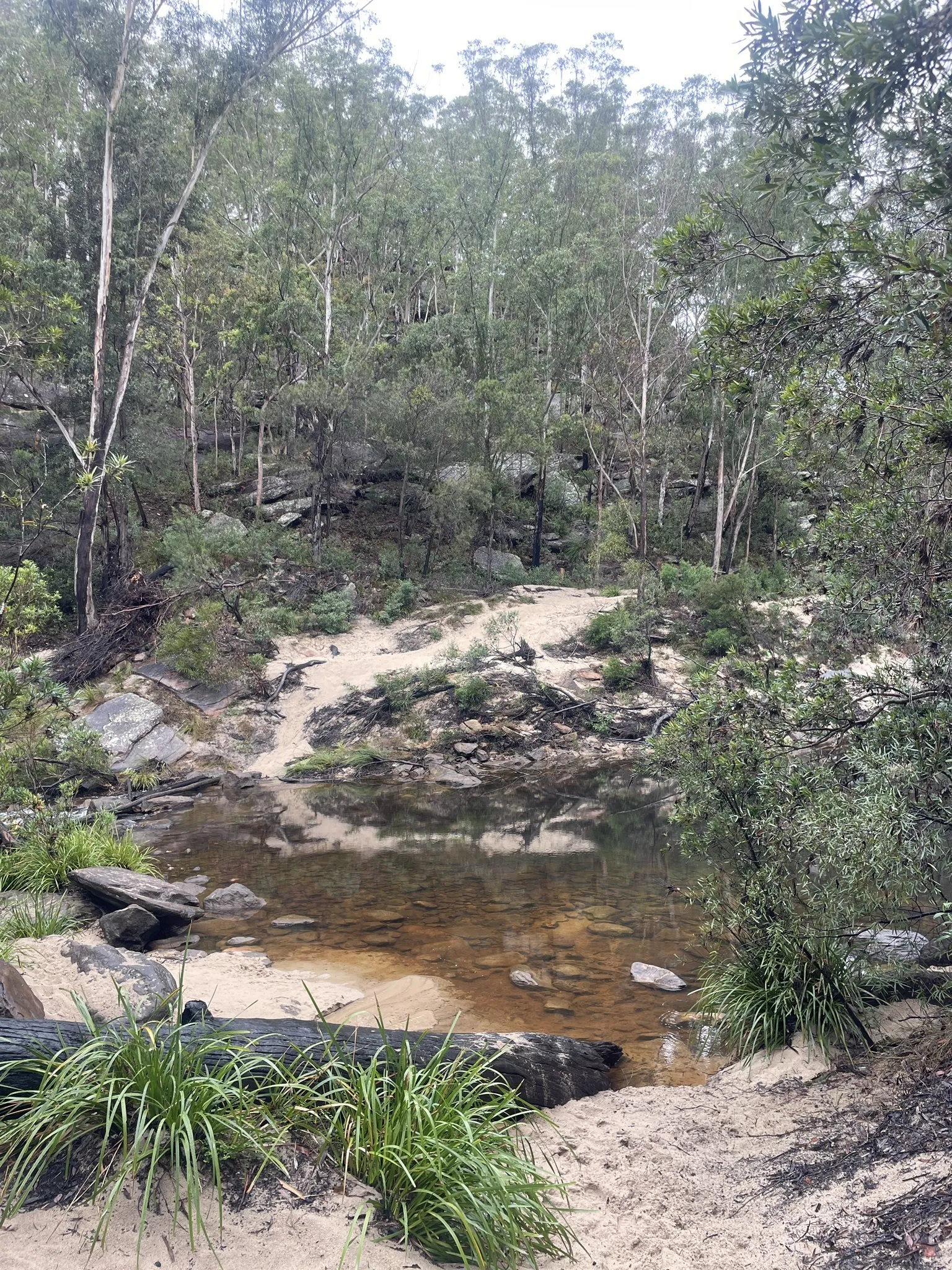 Peter Meadows Creek